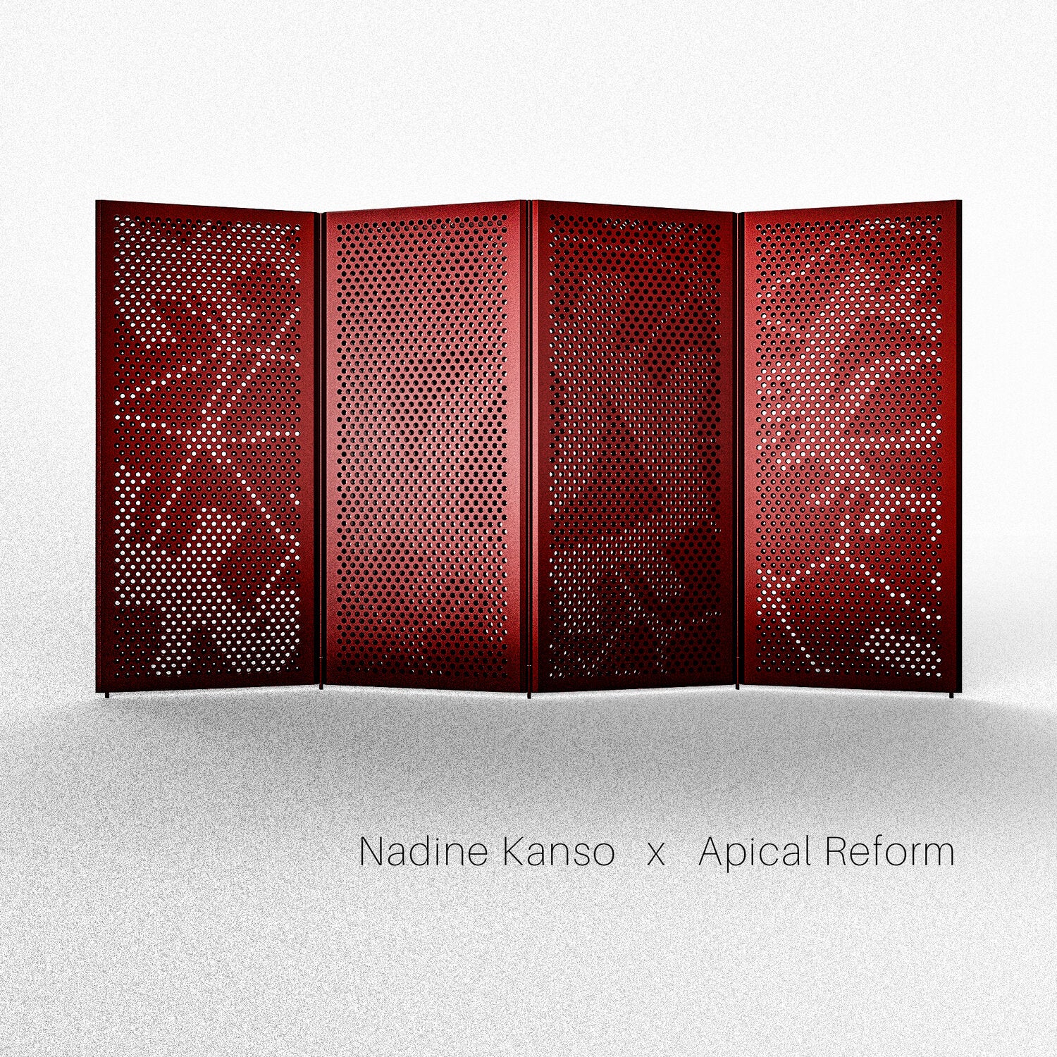 2017-NADINE KANSO X APICAL REFORM 2017